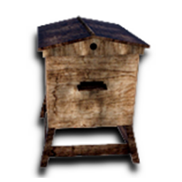 Bee Hive